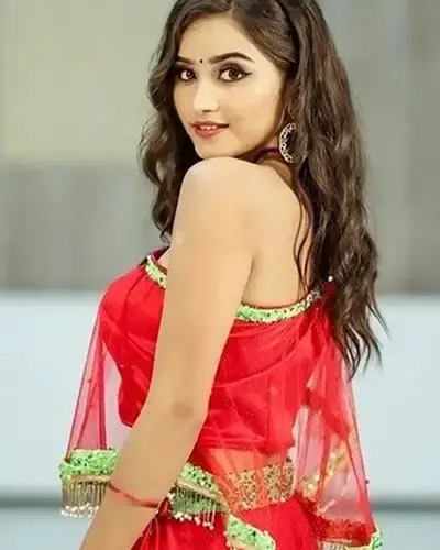 Escort In Sarangarh